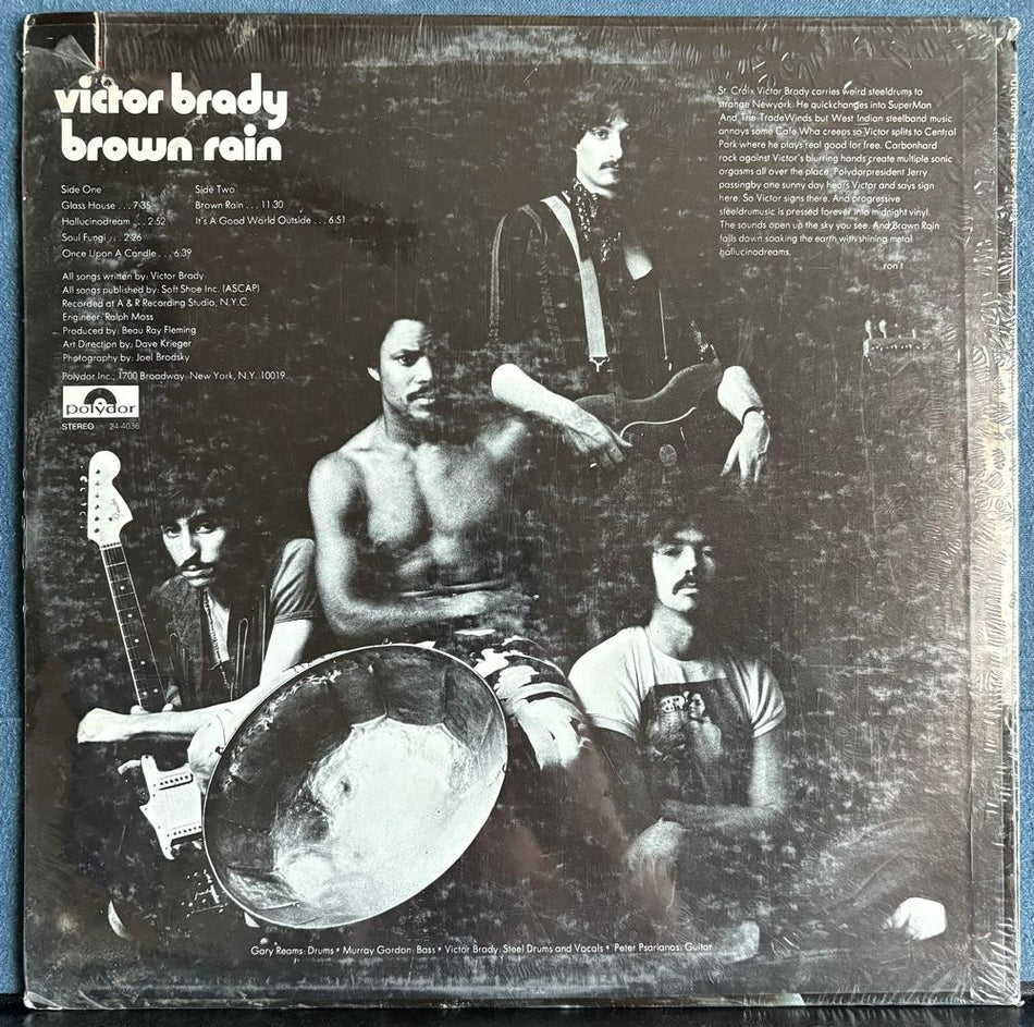 VICTOR BRADY BROWN RAIN~SEALED ORG 1970 POLYDOR LP~CUT-OUT~PSYCH~PROG~STEEL DRUM