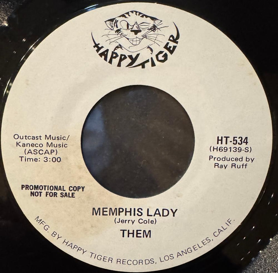 THEM NOBODY CARES/ MEMPHIS LADY~NM RARE 1970 WHITE LABEL PROMO~PSYCH