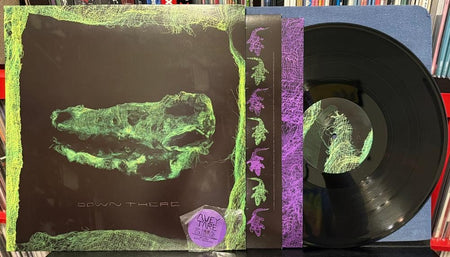 AVEY TARE DOWN THERE~VG++ 2010 PAW TRACKS LP~DIE-CUT INNER SLV~ANIMAL COLLECTIVE
