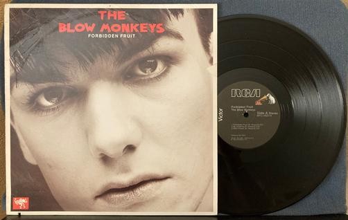 BLOW MONKEYS FORBIDDEN FRUIT~1985 AUDIOPHILE 12" EP/SINGLE LP~QUIEX VIRGIN VINYL