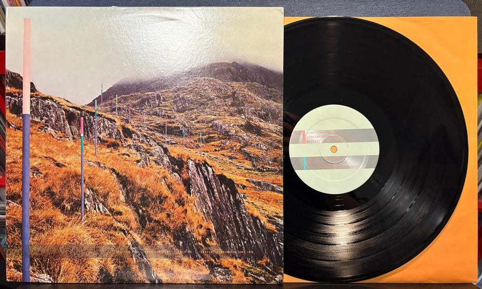 SECTION 25 FROM THE HIP~VG+.ORG 1984 FACTORY US LP w/INNER SLV~ELECTRO~SYNTH-POP