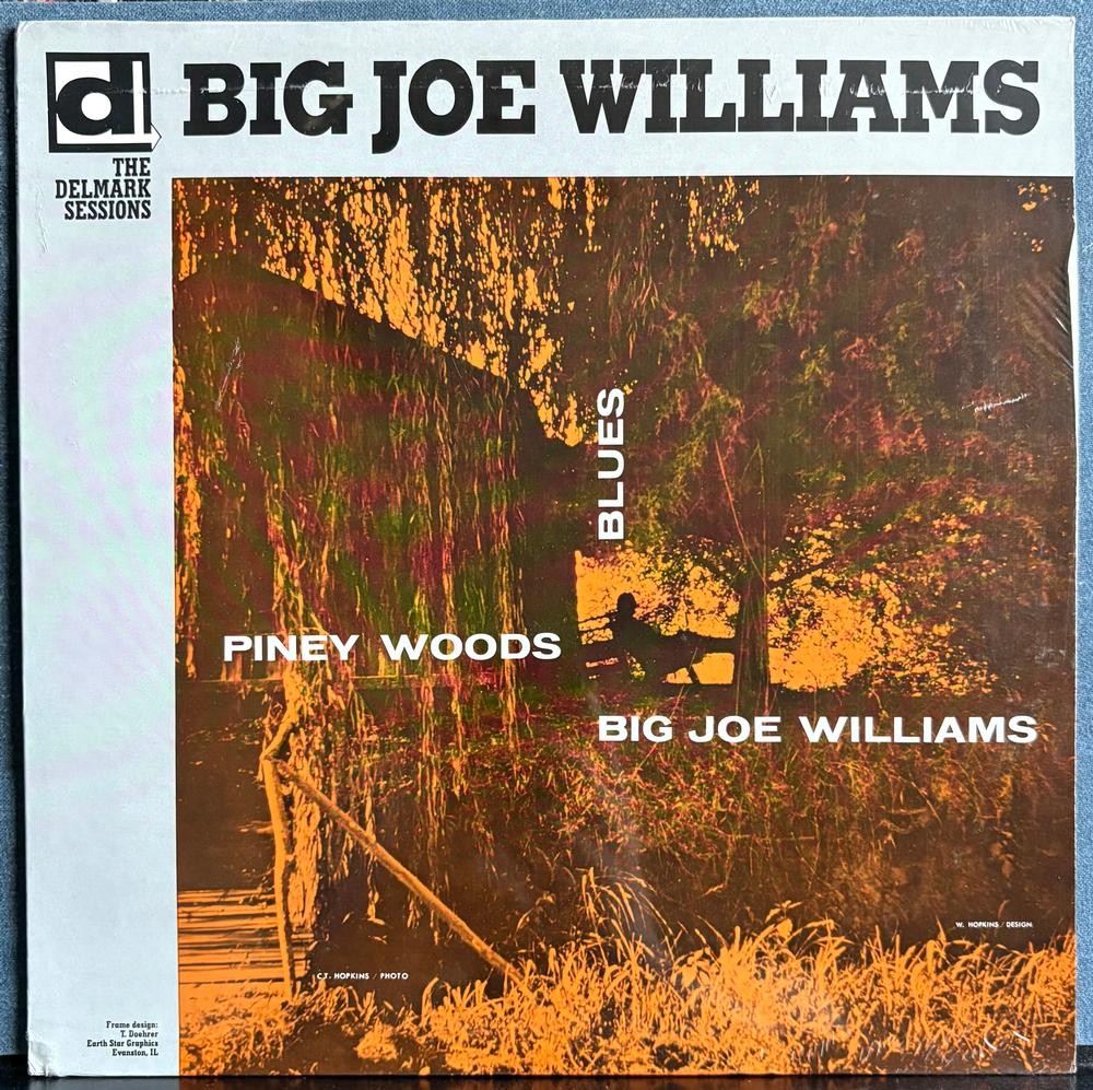 BIG JOE WILLIAMS PINEY WOODS BLUES~SEALED 1970s DELMARK RE LP~DELTA BLUES~DS-602