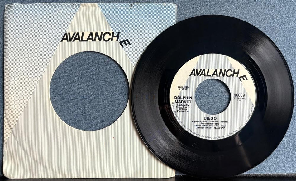 DOLPHIN MARKET~DIEGO /THE WITNESS~ORIG 1970 7-INCH 45 SNGL w/AVALANCHE SLV~PSYCH