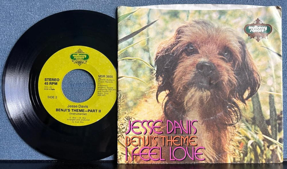 JESSE DAVIS BENJI'S THEME~ORIG 1975 MULBERRY SQUARE 7-INCH PIC SLV 45~SOUL VOCAL