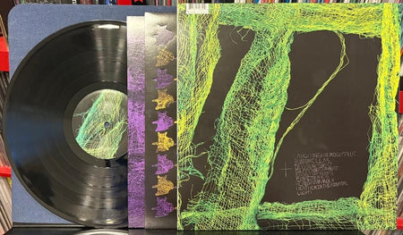 AVEY TARE DOWN THERE~VG++ 2010 PAW TRACKS LP~DIE-CUT INNER SLV~ANIMAL COLLECTIVE