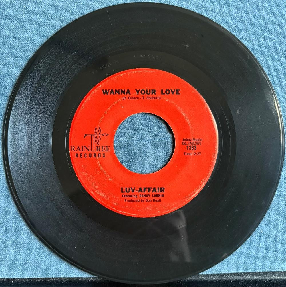 LUV-AFFAIR~RAINTREE / WANNA YOUR LOVE~RAINTREE RECORDS 7-INCH 45 RPM SINGLE~FUNK