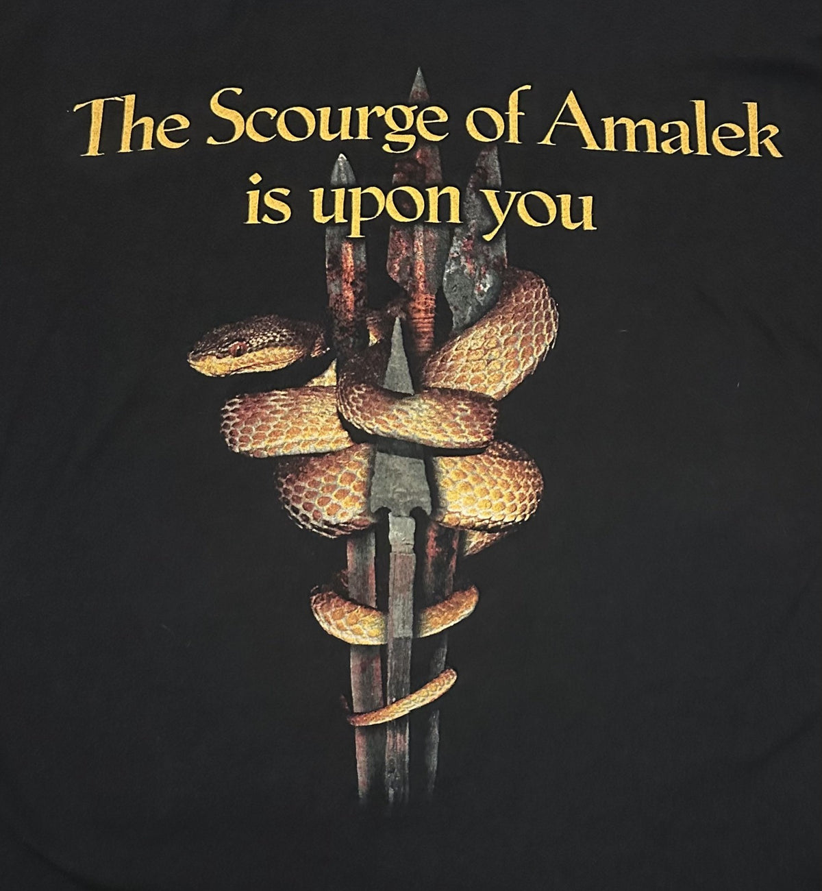 NILE BAND T-SHIRT~BLACK SEEDS OF VENGEANCE~ORIGINAL~XL~BLACK~EXC COND~CYGNUS
