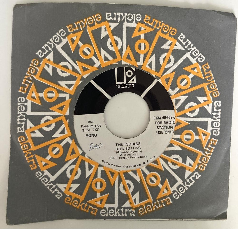 THE INDIANS BEEN SO LONG/ LADY ANN~NM- ORG 1969 ELEKTRA WL PROMO 45~GARAGE PSYCH