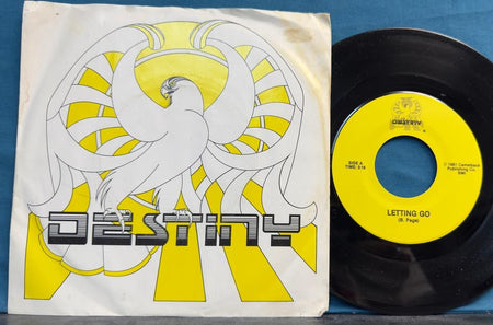DESTINY LETTING GO/ CRY NO MORE~NM-1981 PHX AZ PRIVATE LABEL ROCK PICTURE SLEEVE